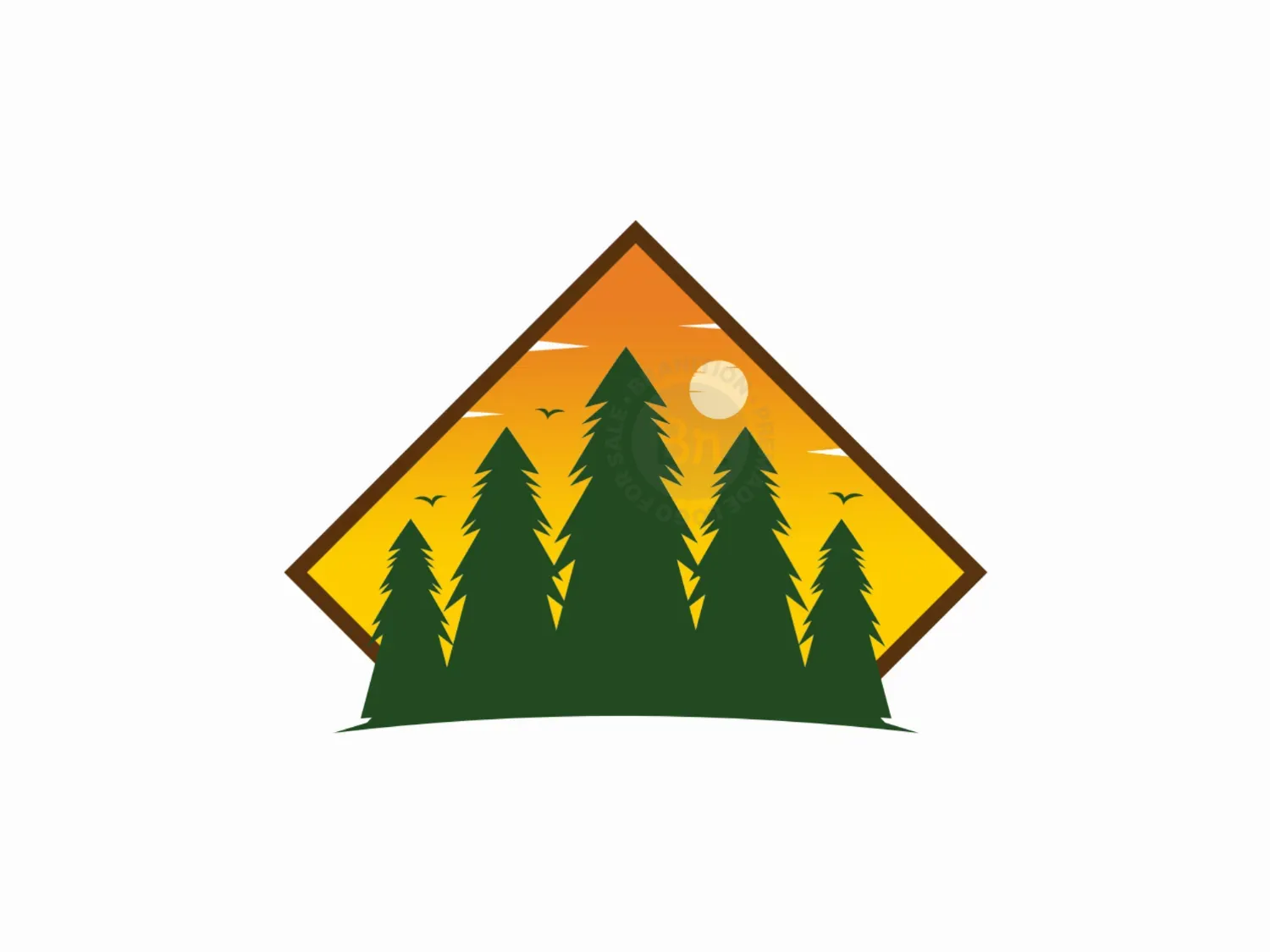 Pine Forest