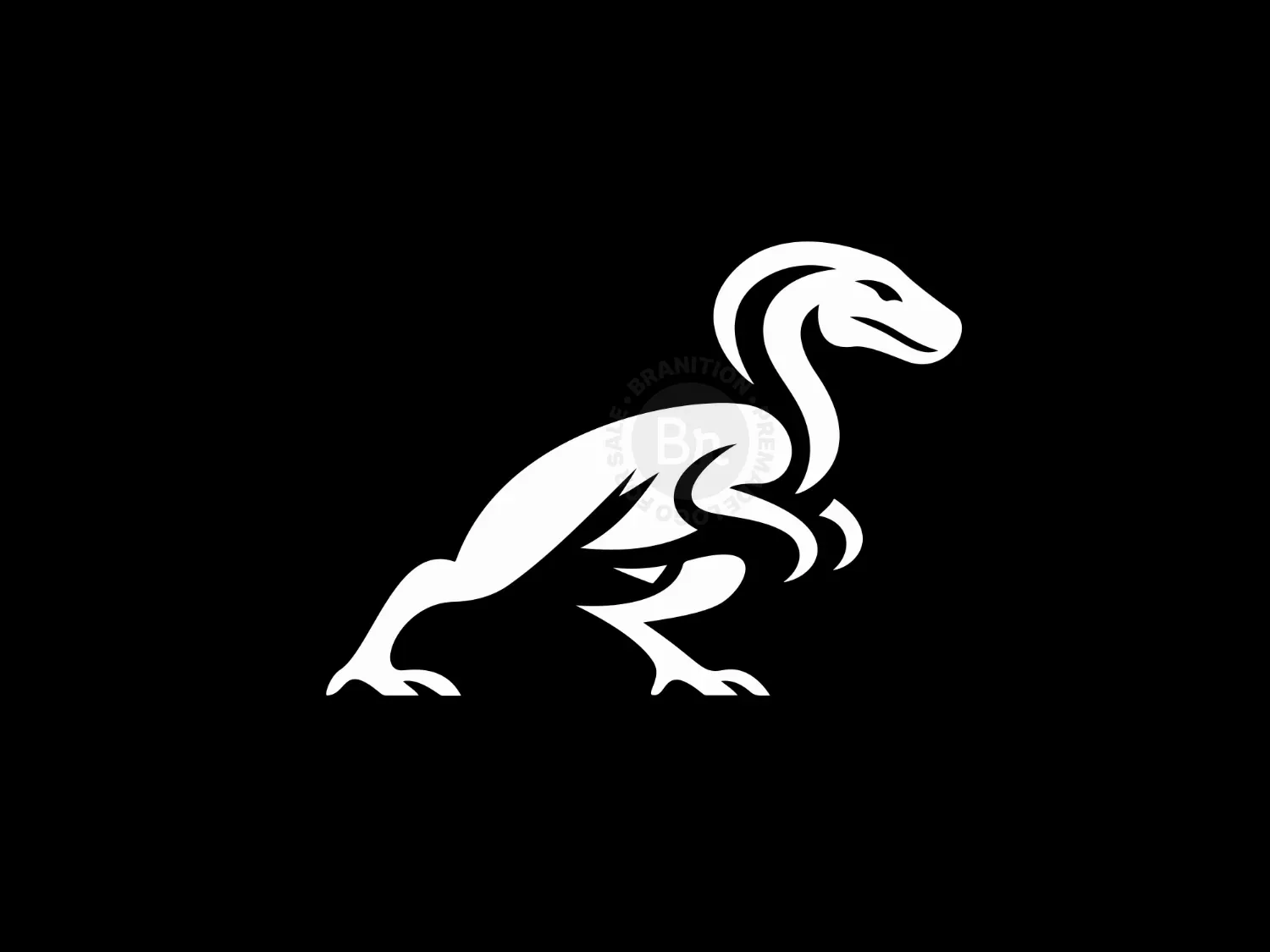  logo 41