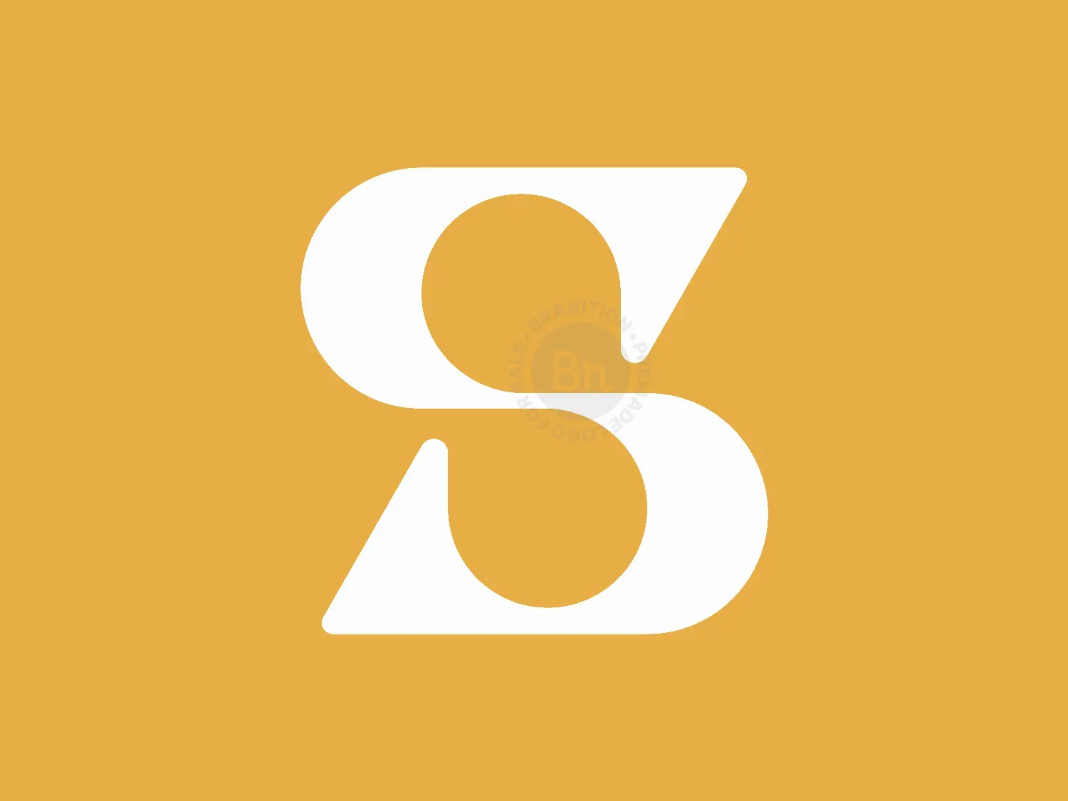 S + R Upward Growth Logo Concept