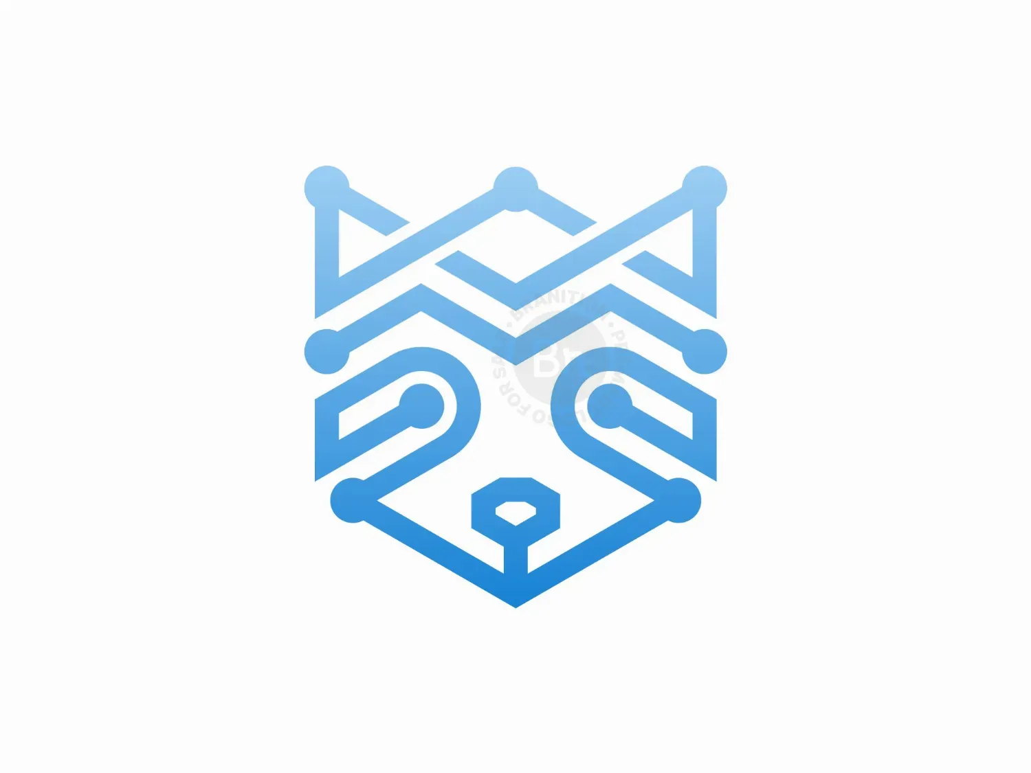 Raccoon Technology Logo