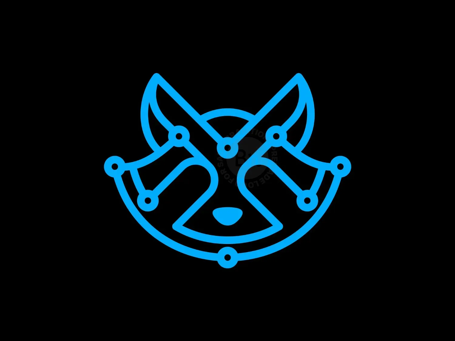 Raccoon Tech Logo