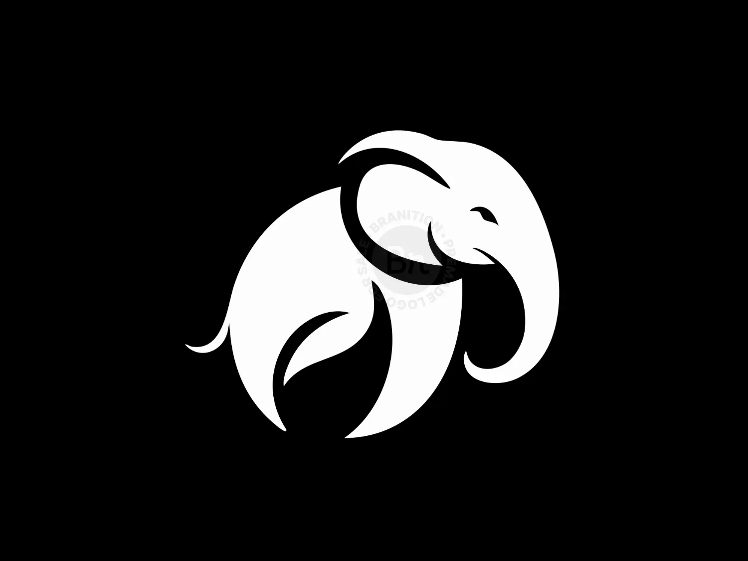 elegant logo 26