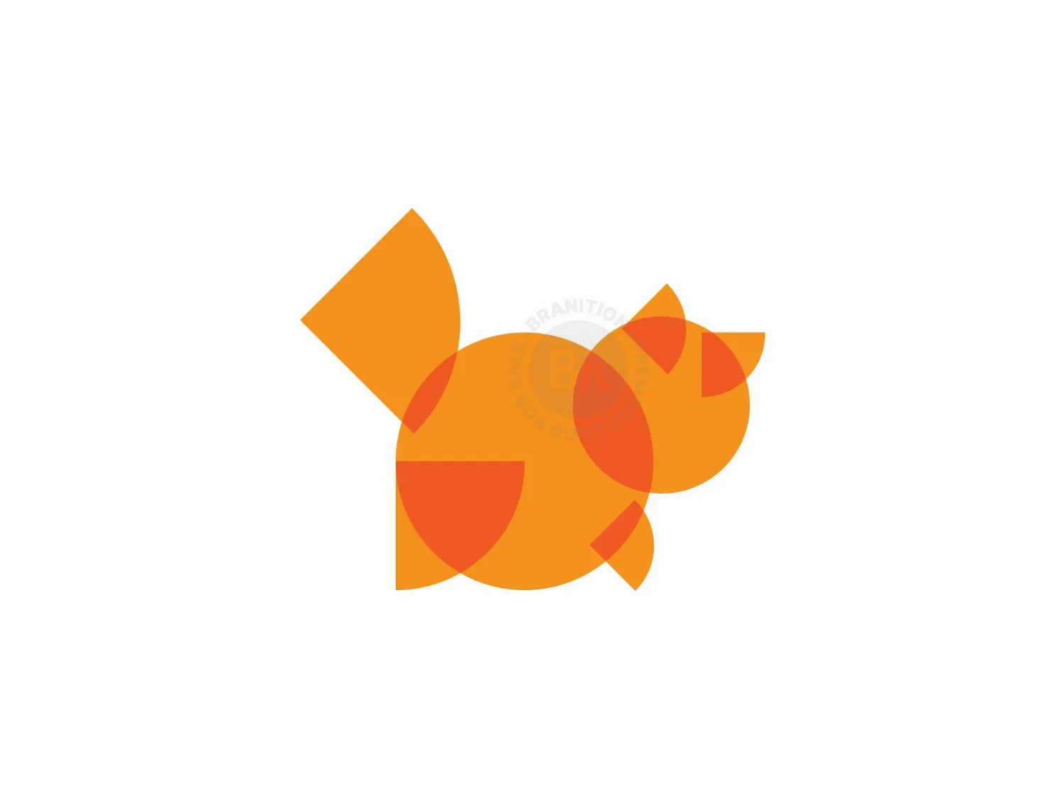 Geometric Cat