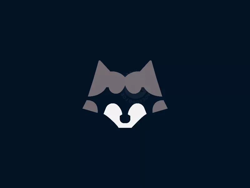 Raccoon Star