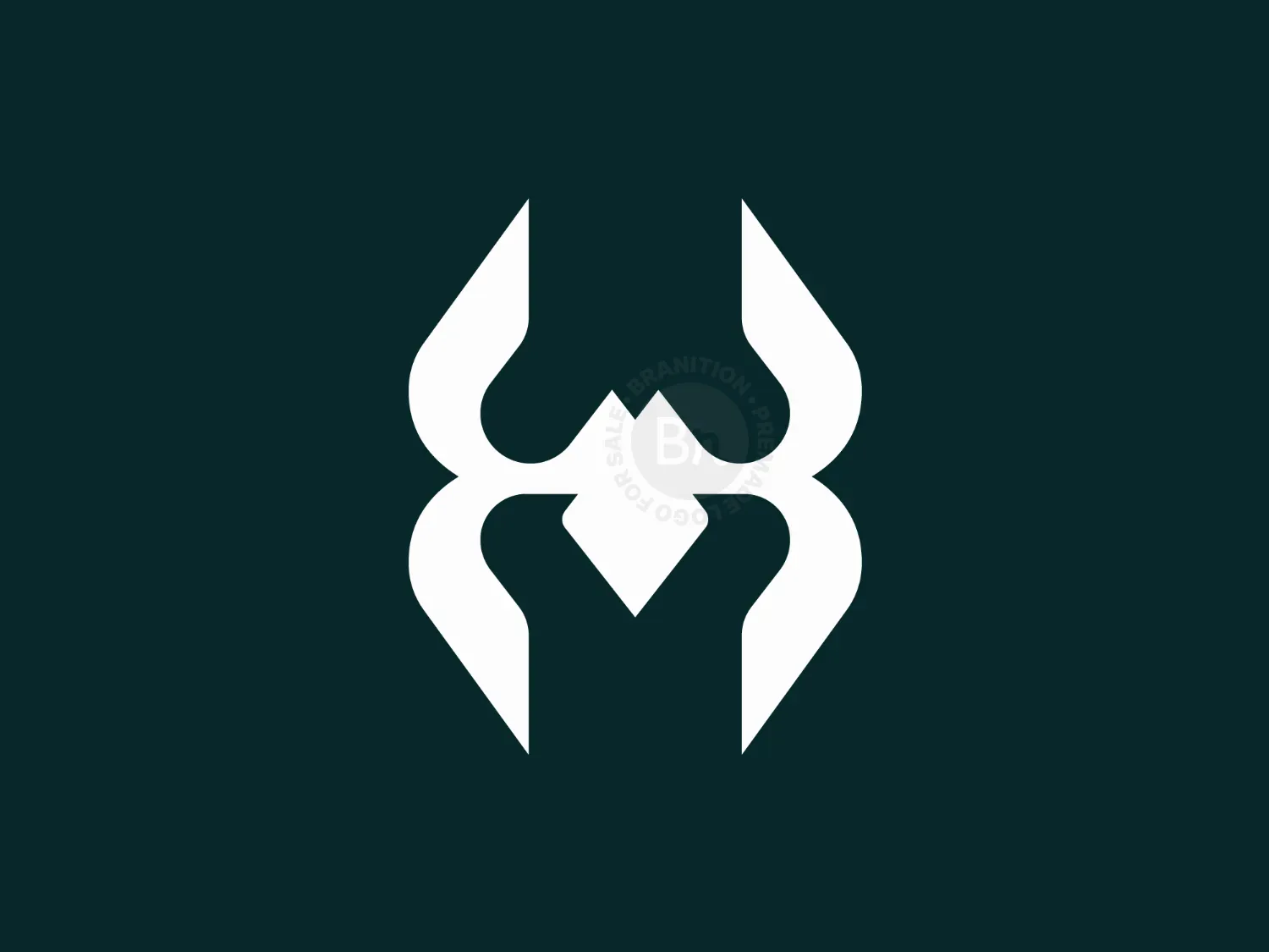 Letter H Spider Logo